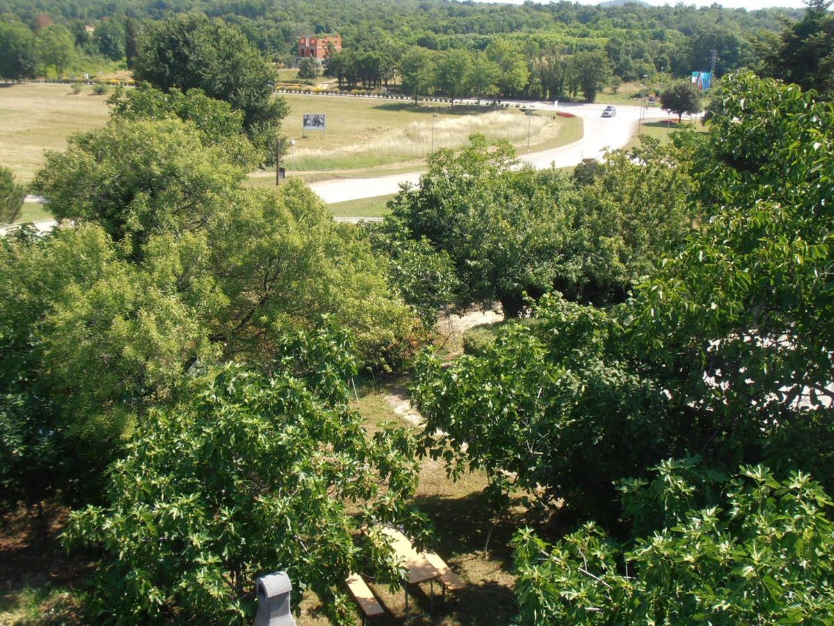 Apartments Coki Funtana Zewnętrze zdjęcie